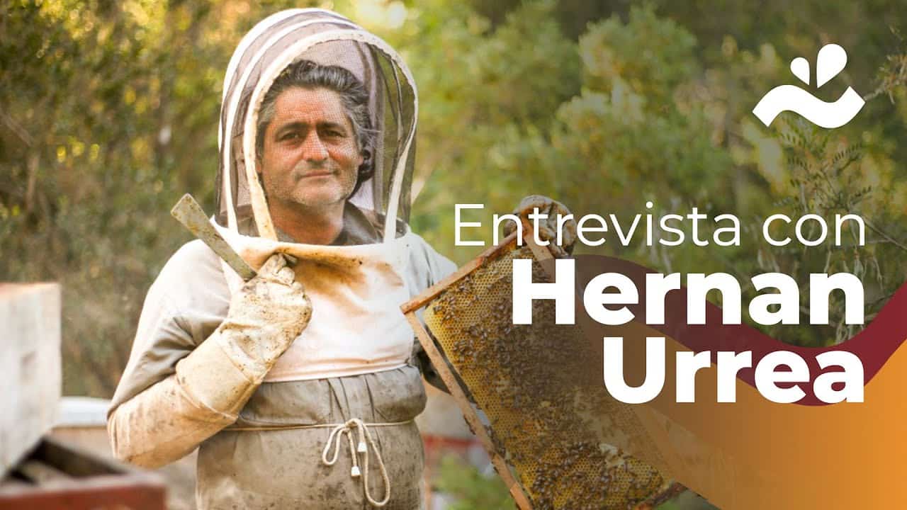 https://www.facebook.com/apicolagekal.hernan.urrea