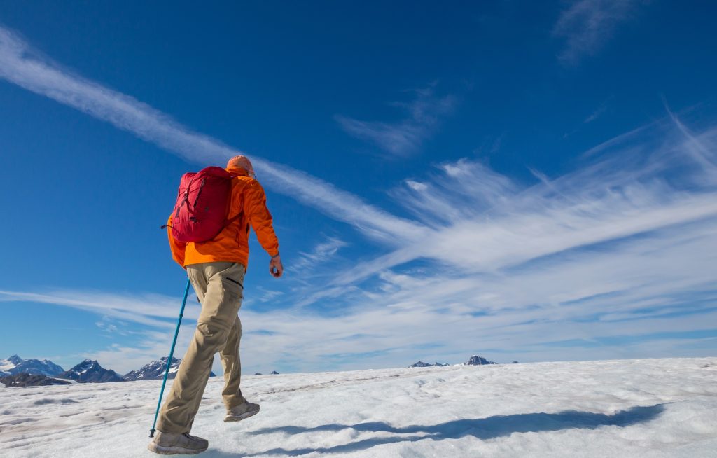 Ideas de Negocios Rentables para Emprender en Alaska: La Última Frontera de las Oportunidades